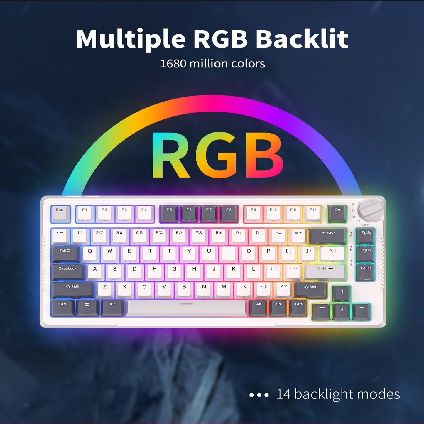 Royal Kludge RK-H81: Tri-mode,Hot-swappable, Gasket-mounted Keyboard