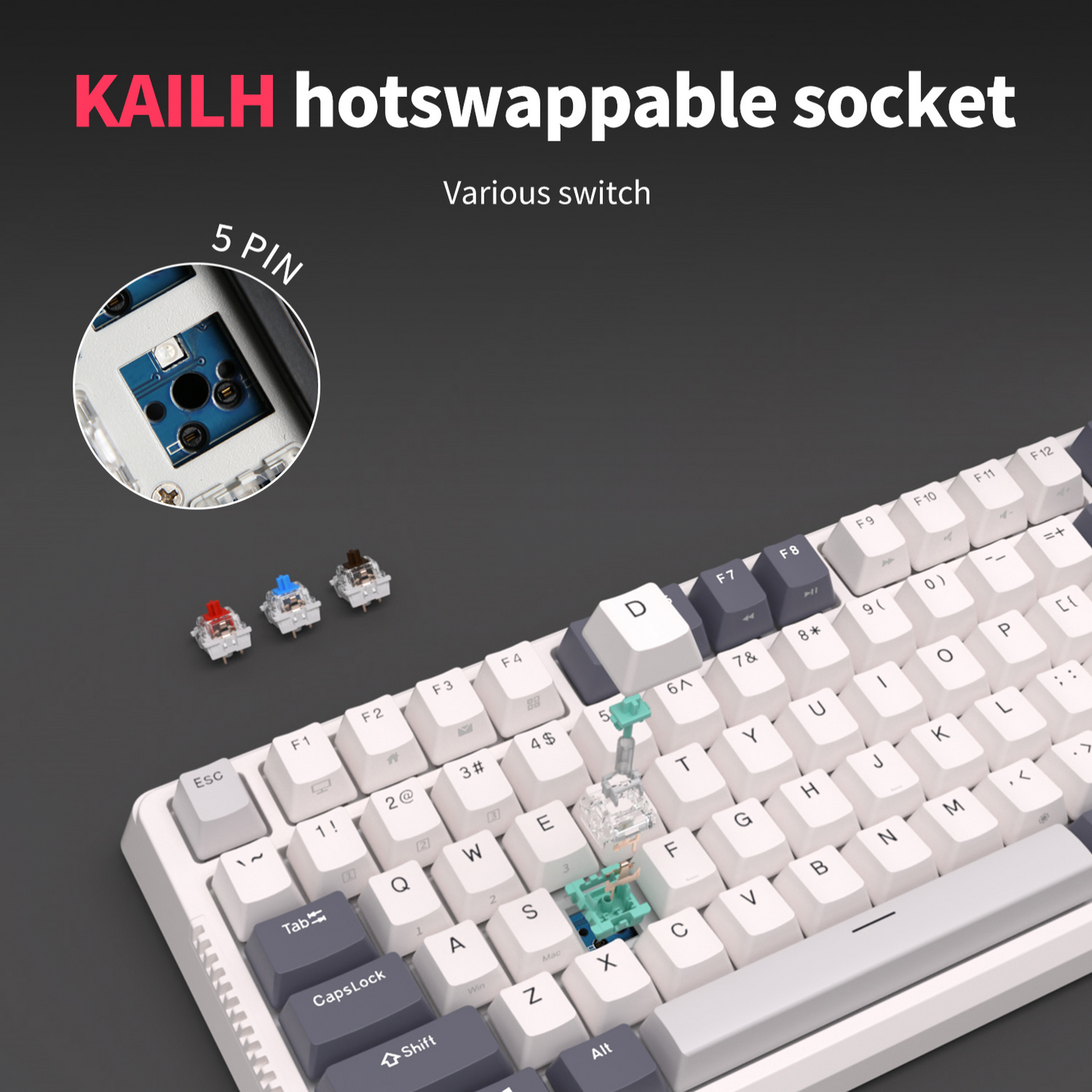 Royal Kludge RK-H81: Tri-mode,Hot-swappable, Gasket-mounted Keyboard